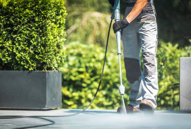 Animal Enclosure Cleaning in Marshall, AR