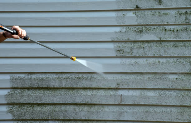 Best Driveway Pressure Washing  in Mshall, AR
